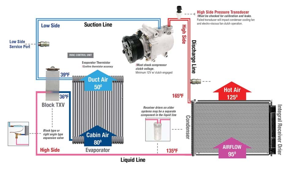 Typical TXV System